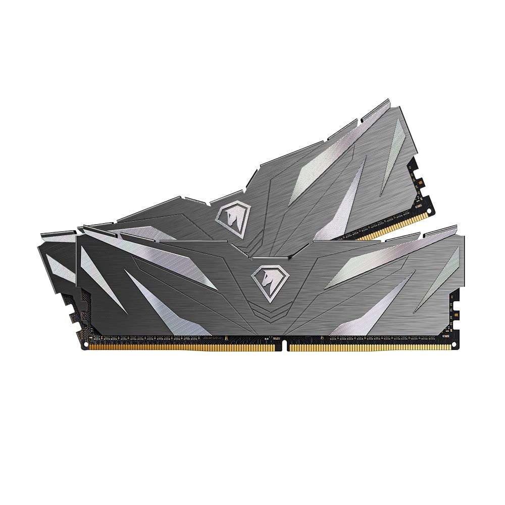 Netac 32GB (2 X 16GB) 3200MHz C16 DDR4 Memory Kit with Heat Sink w.voucher at Netac Official Store
